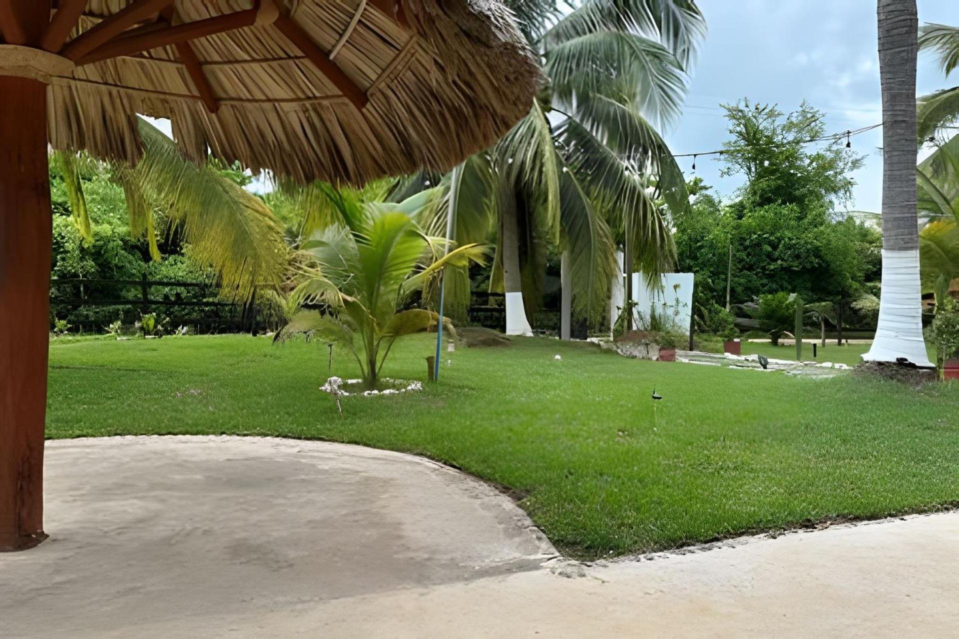 Casa Las Palmas Playa La Saladita Сіуатанехо Екстер'єр фото
