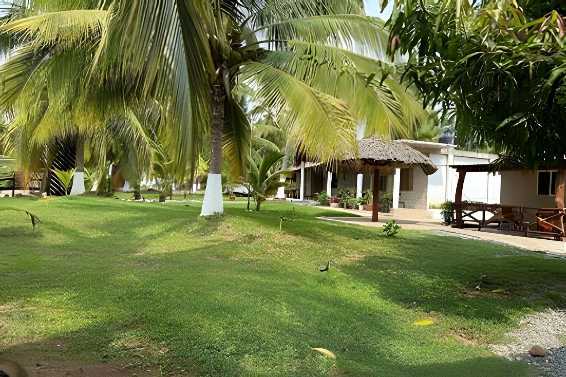 Casa Las Palmas Playa La Saladita Сіуатанехо Екстер'єр фото