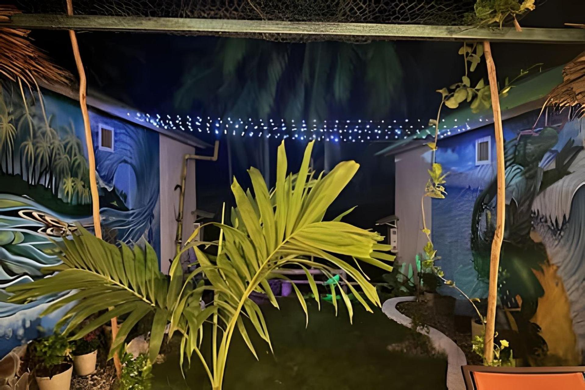 Casa Las Palmas Playa La Saladita Сіуатанехо Екстер'єр фото