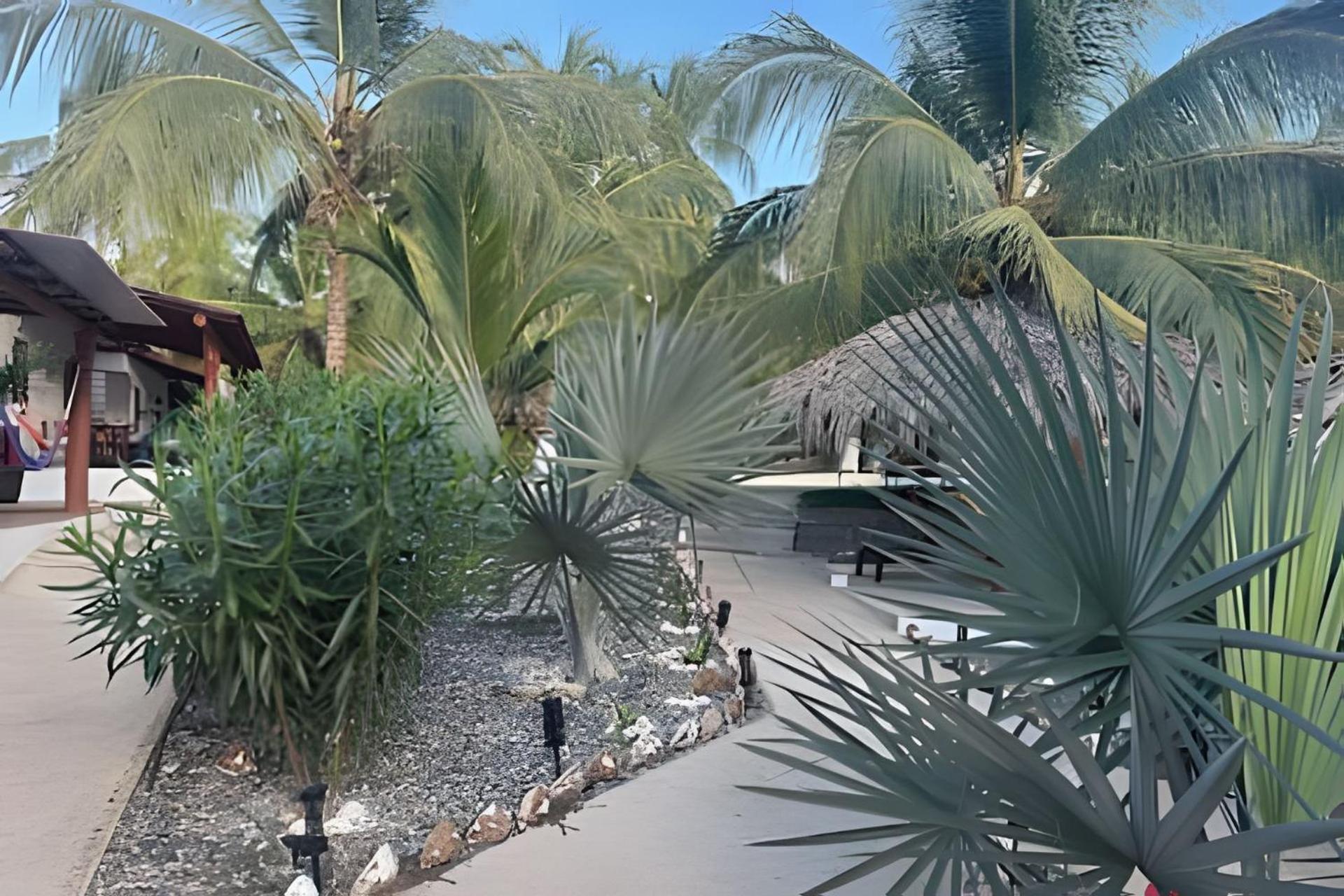 Casa Las Palmas Playa La Saladita Сіуатанехо Екстер'єр фото