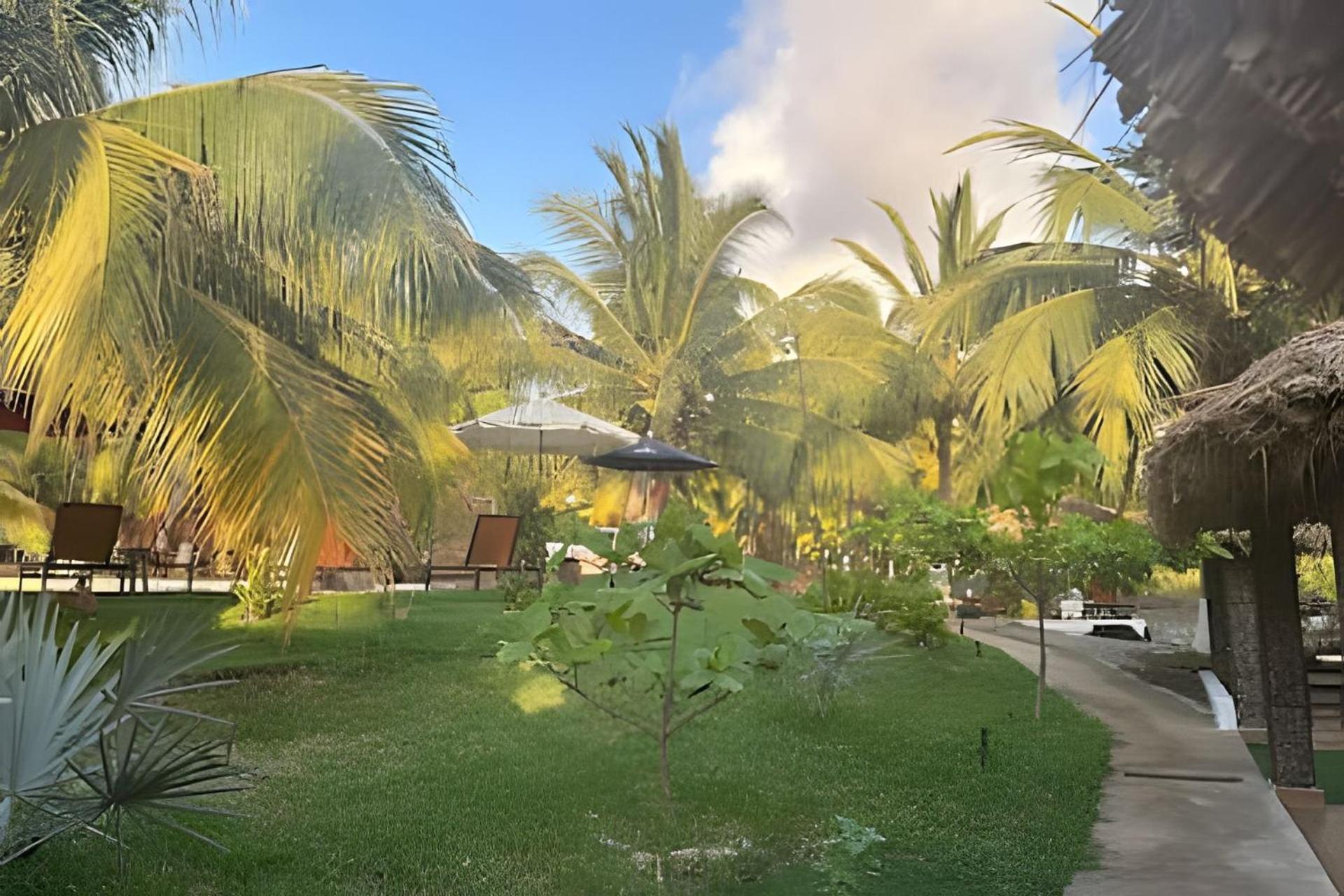Casa Las Palmas Playa La Saladita Сіуатанехо Екстер'єр фото