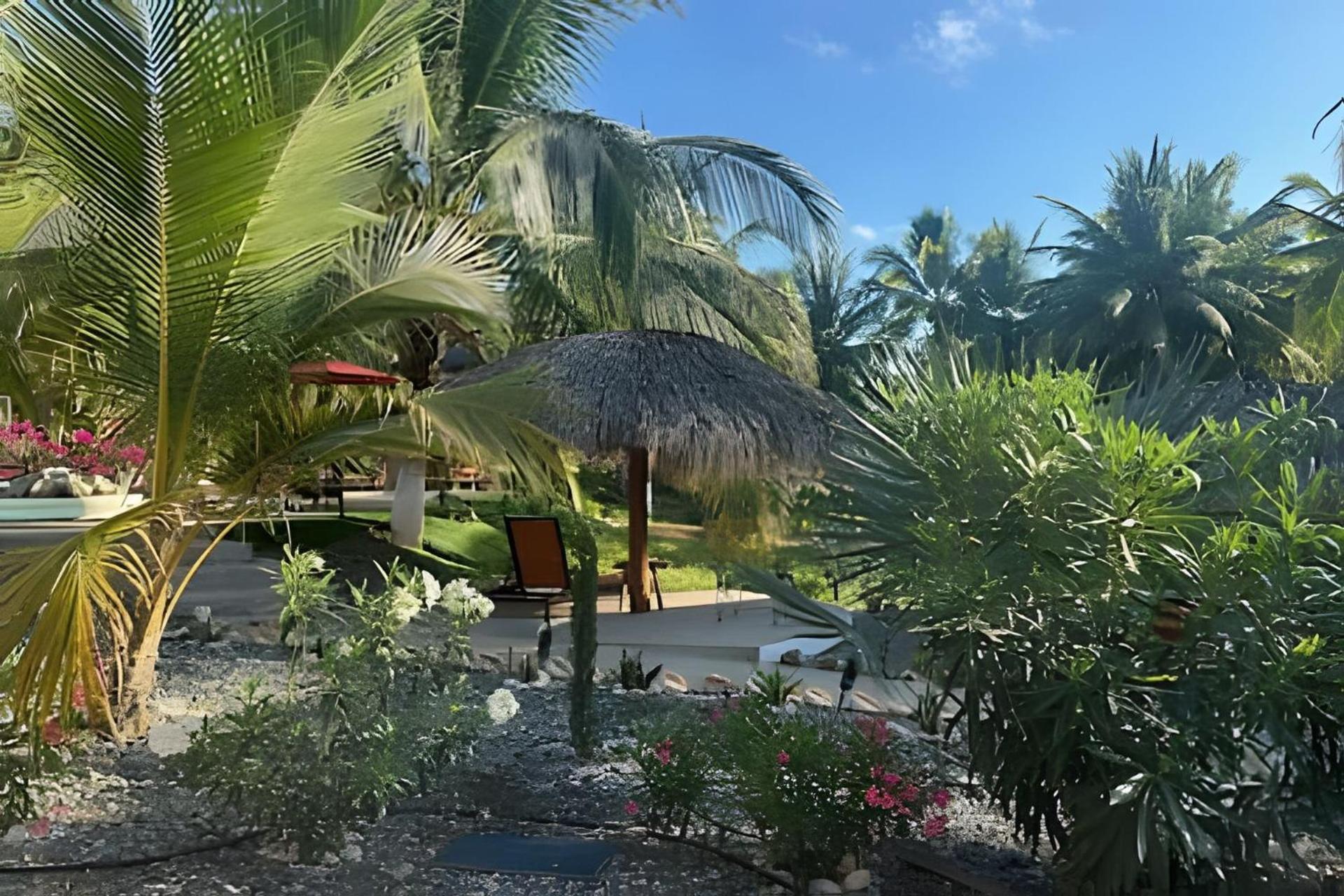 Casa Las Palmas Playa La Saladita Сіуатанехо Екстер'єр фото