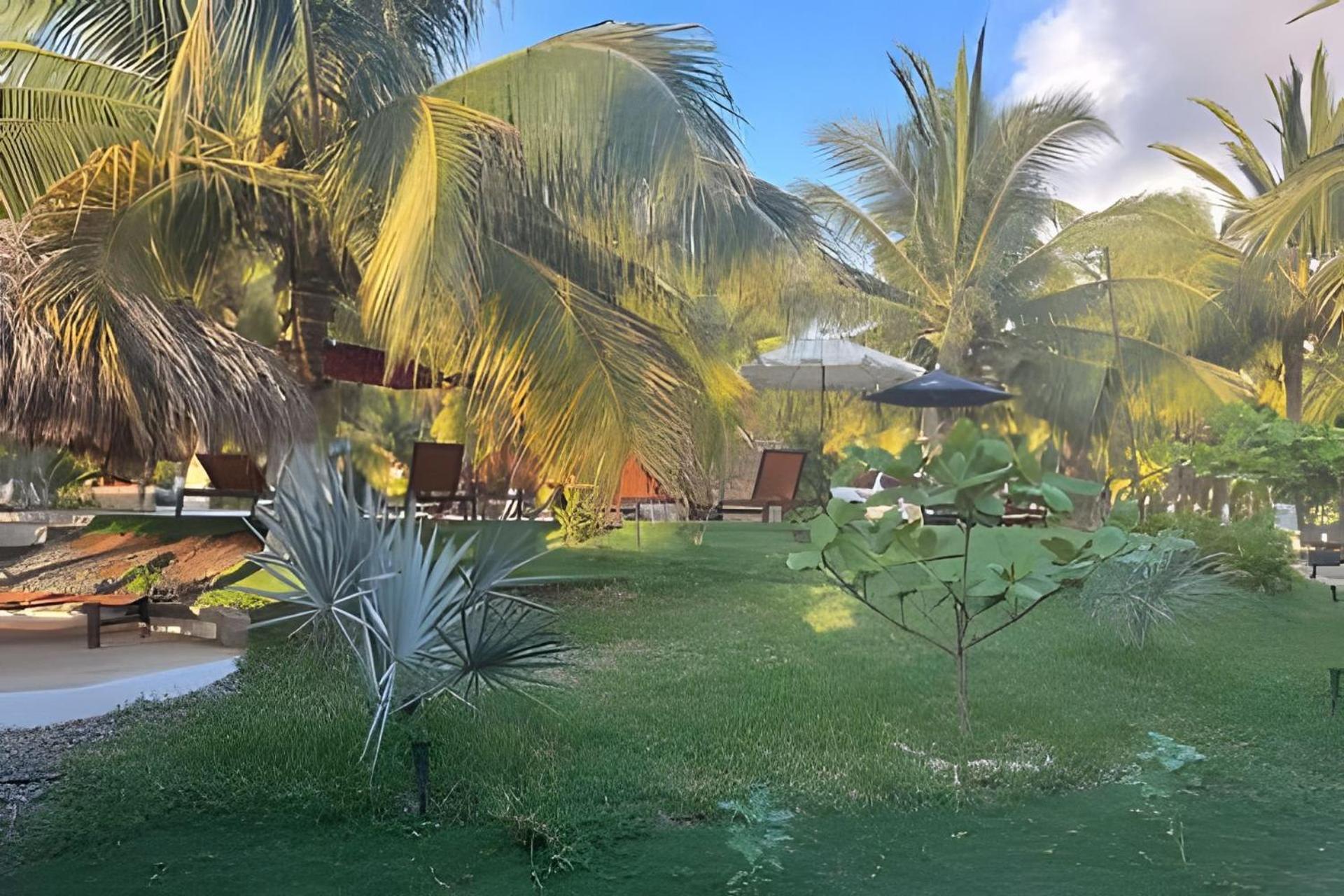 Casa Las Palmas Playa La Saladita Сіуатанехо Екстер'єр фото