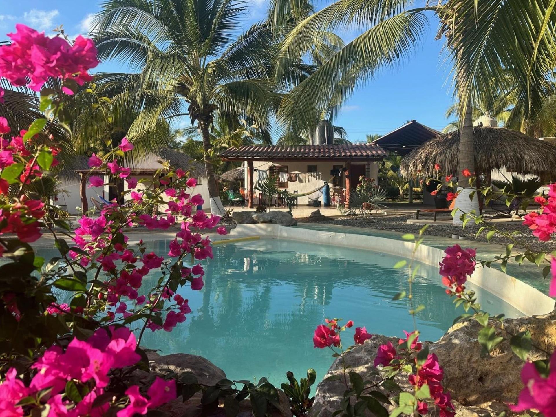 Casa Las Palmas Playa La Saladita Сіуатанехо Екстер'єр фото