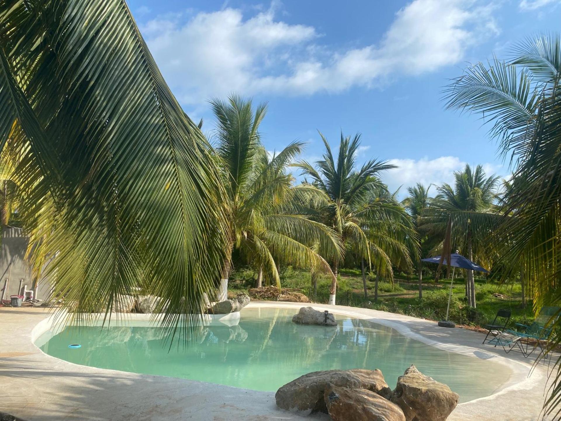 Casa Las Palmas Playa La Saladita Сіуатанехо Екстер'єр фото